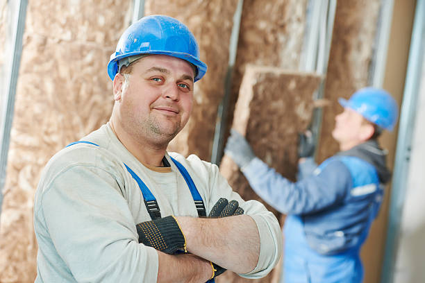 Best Insulation Maintenance and Repair in Paramount Long Meadow, MD