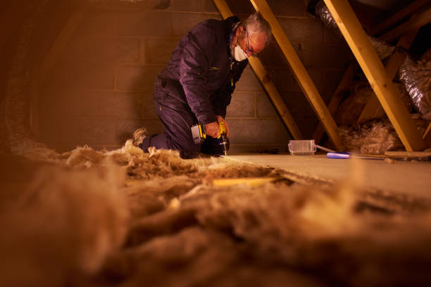 Best Insulation for Specific Applications in Paramount Long Meadow, MD